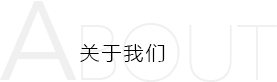荣誉资质